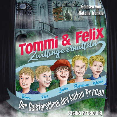 Tommi und Felix Zwillinge ermitteln: Der Geisterschrei des kalten Prinzen