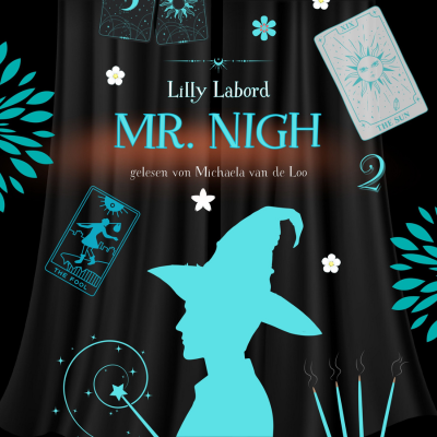 mr nigh 2 - cover